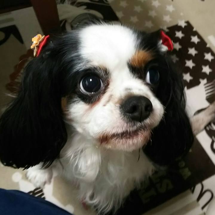 F2807062 47d4 4c13 9417 f89c2b15b576