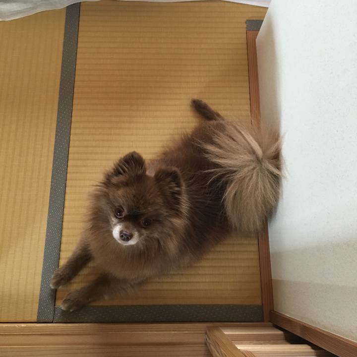 F280e46c 6fe1 4687 bb67 7bd43d699719