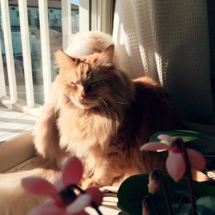 F2812379 a665 4c99 8046 77d9dd60398e