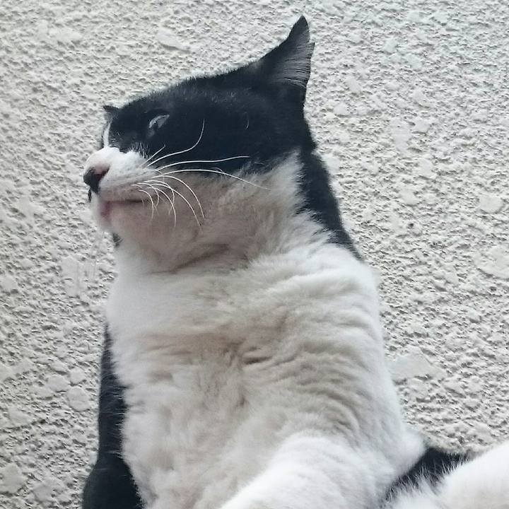 F2813204 584e 4f43 b9c7 eb0a1b098f93