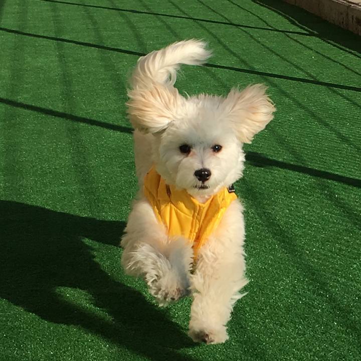 F281407a 4628 430f 954a 8347d442efa5