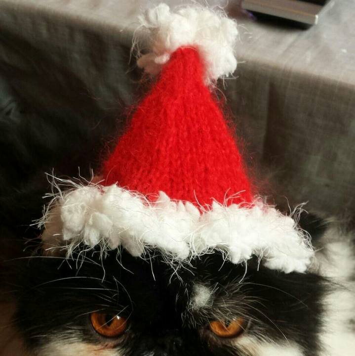 F2816ac2 740f 411a b20c 322633ae8ab5