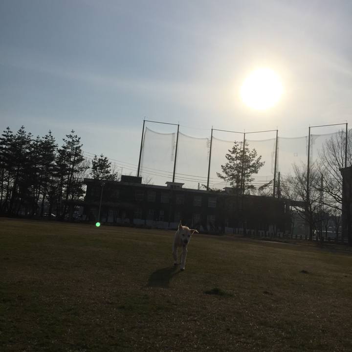 F2818a76 0e49 407f a294 a7f8ebc54c93