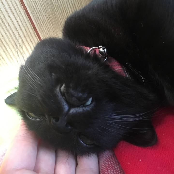 F281f927 7f5d 45ca b28a a669400ca96f