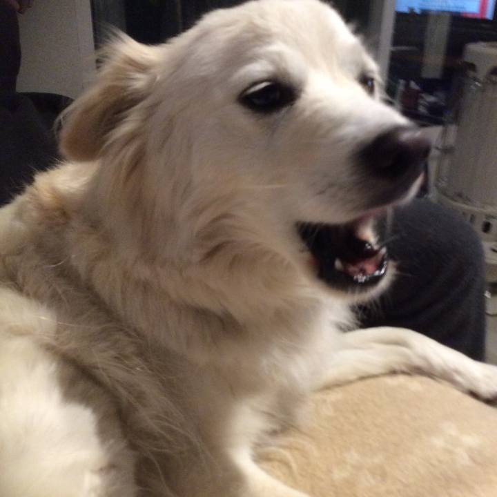 F28208fb 067d 4ac6 b215 5f8d813b3484