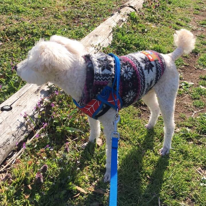 F2830a8a c515 465c a91b 1470b6ac6545