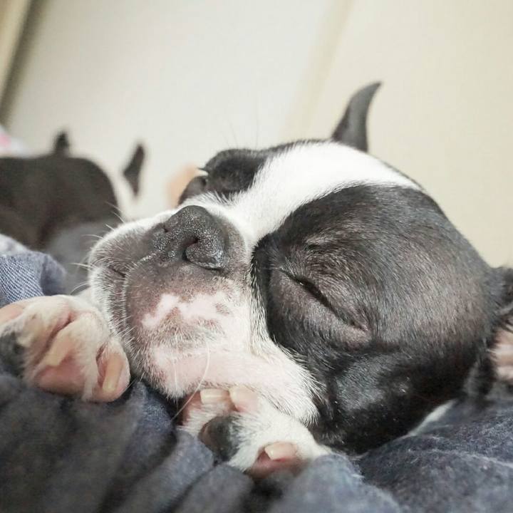 F2837aaf 2c83 4af3 9034 ce1cbdbaf89f