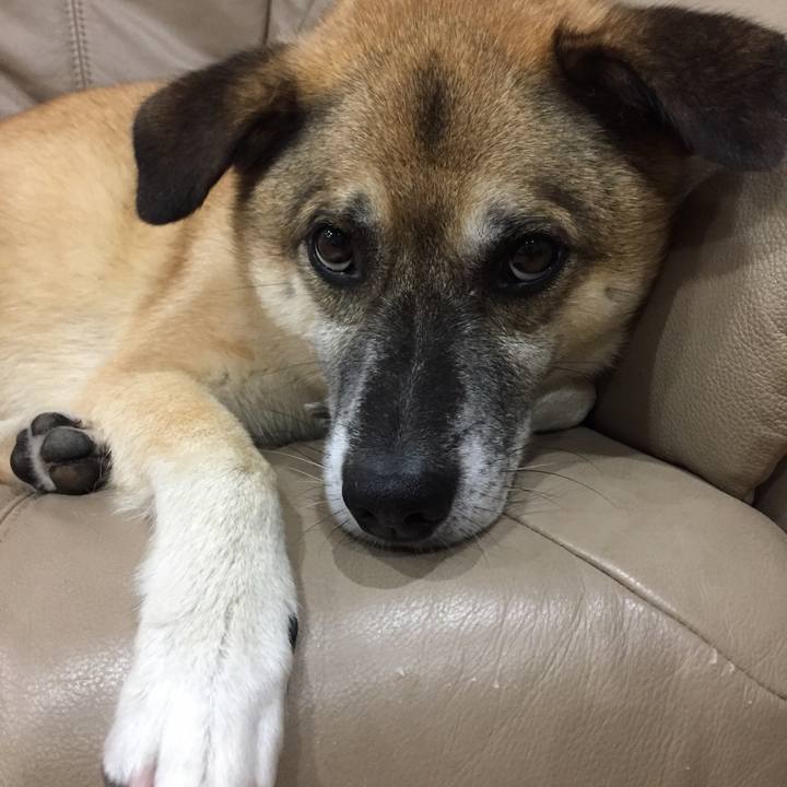 F283f02b f705 443f 8db6 f07e473818b6