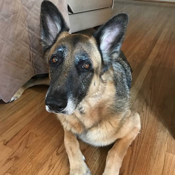 F28405d1 f70a 43c4 aed9 5aae0715e62c