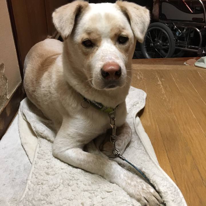 F2849751 7ebe 4537 9911 e4e3918b3d3c