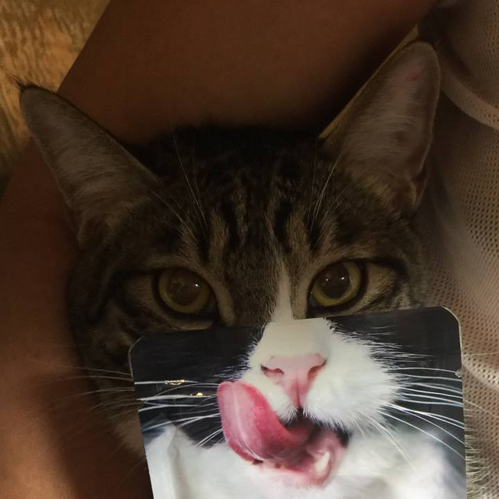 F284b949 f9c6 427d 8bb9 a8993113e195