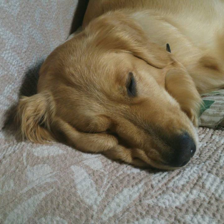 F2858429 23d0 4e8e 9ae4 53d6af11d573