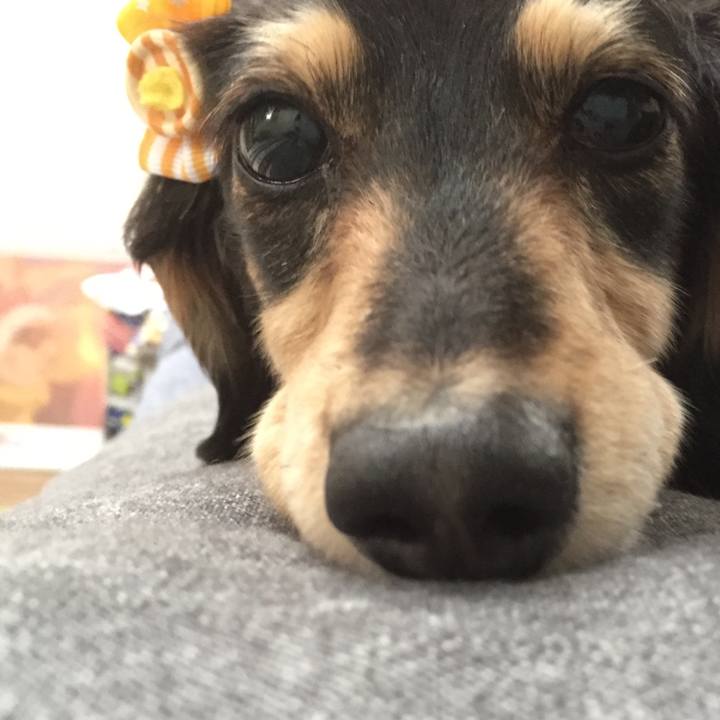 F2868cdd 2149 494a a9db 7830956a8c47