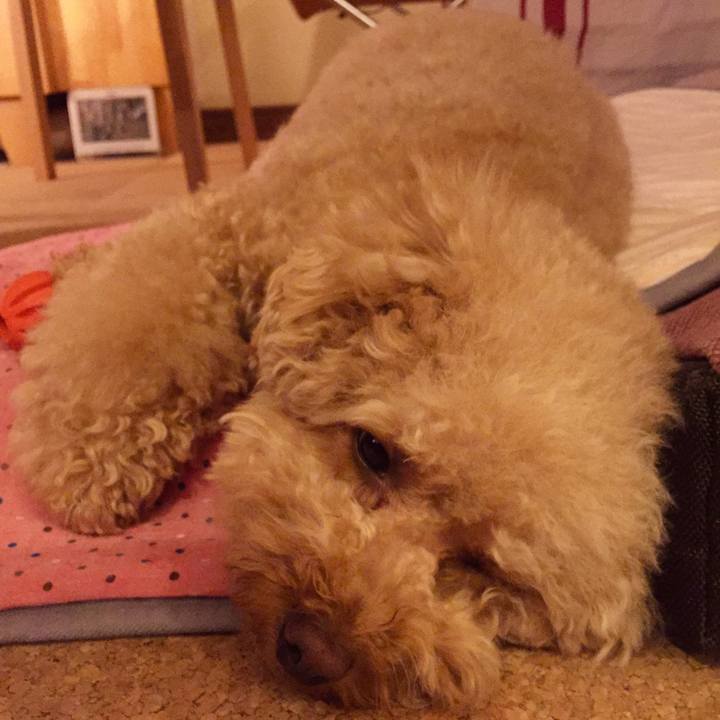 F286a84a f17f 46c2 9ed1 3e4f03a55e26