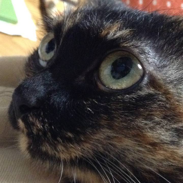 F2870fae 6750 445f b832 cce3673b3afc