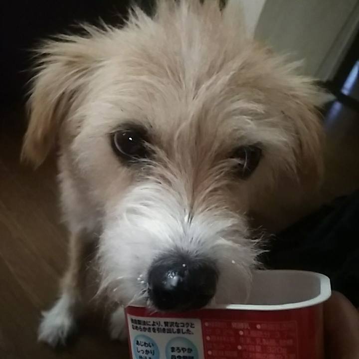 F2873249 b919 41b2 83f7 d055ef51bc90