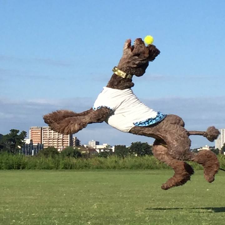 F287cdbb 0b6d 4bd4 bbf0 70a4a4a6f4a0