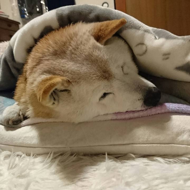 F28844e0 0426 4226 9039 c33d2948d4fc