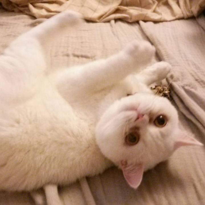 F2890a5b 051a 4a92 bbb3 284ad0975a27