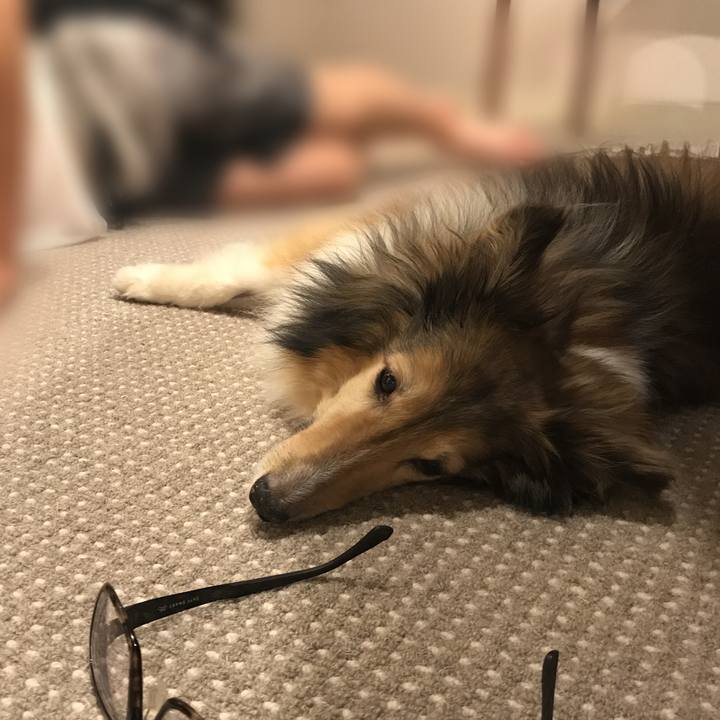 F28910f8 df88 44c5 b23a abc0e53e2aa7