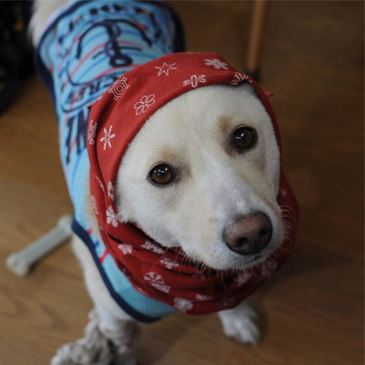 F2891a1b 930f 43de 85db 5169c6176d4e