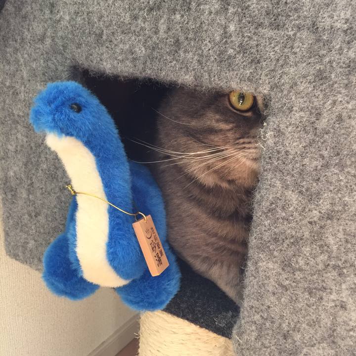 F28a02e9 33f0 4e23 b5a7 bee924e3a981