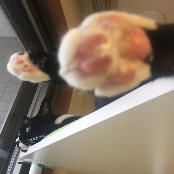 F28a0d9b 42dd 43e9 8dd4 96acf0c29a8e