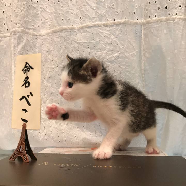 F28a675c b6d9 4c44 87a1 9bf96ed99914