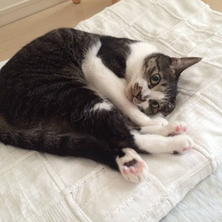 F28ace10 495d 4ae0 a26d 3f808980916b