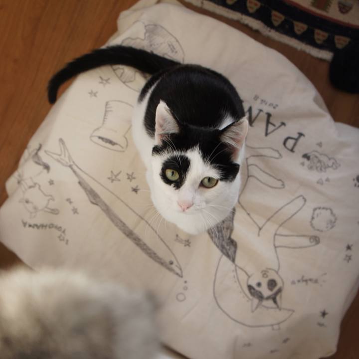 F28b1508 287b 470d 8836 40860315f225