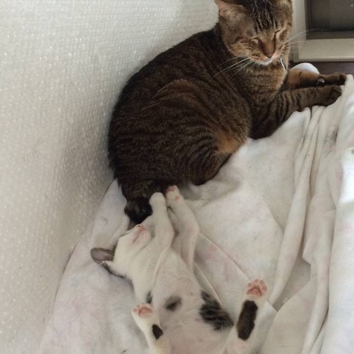 F28b26df 4c7f 49c0 8654 0d94d24b23cd