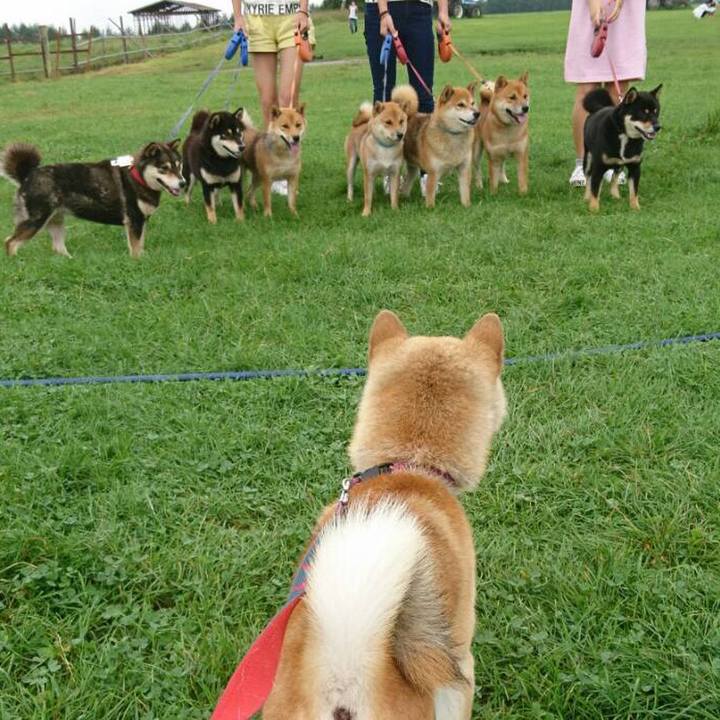 F28b3954 9a32 4eec 97cb 2d7d42d0adc0