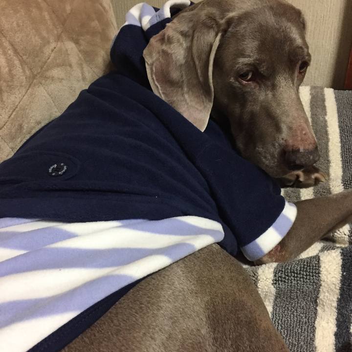 F28ba0c5 ab75 46a7 a3df 54c12cad8088