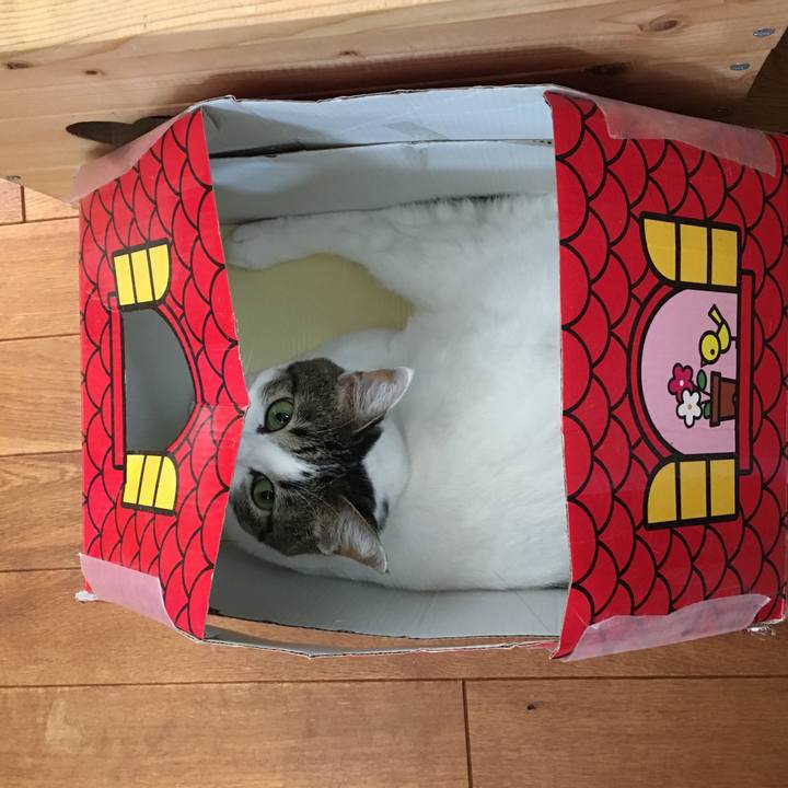 F28bab5d 5b56 4af2 bf87 d80a3dbd8148