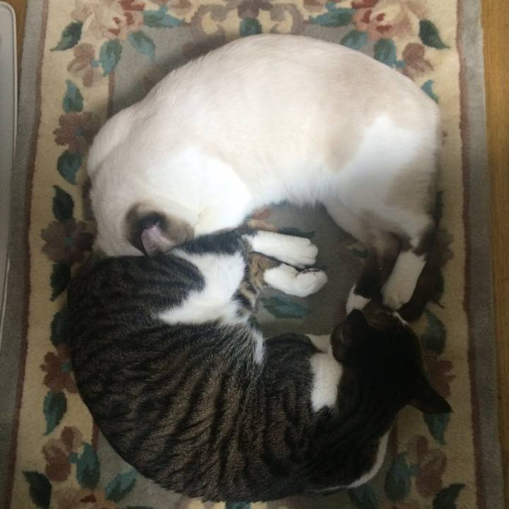 F28bd1e6 a262 486b 8e9e fad945383fbd