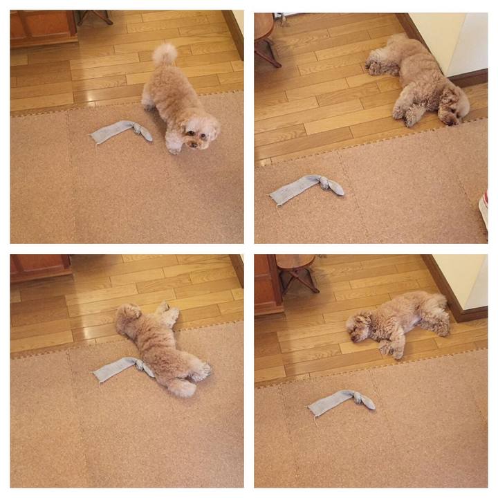 F28beeaf 8b2c 4fd5 a315 126d12400a2c