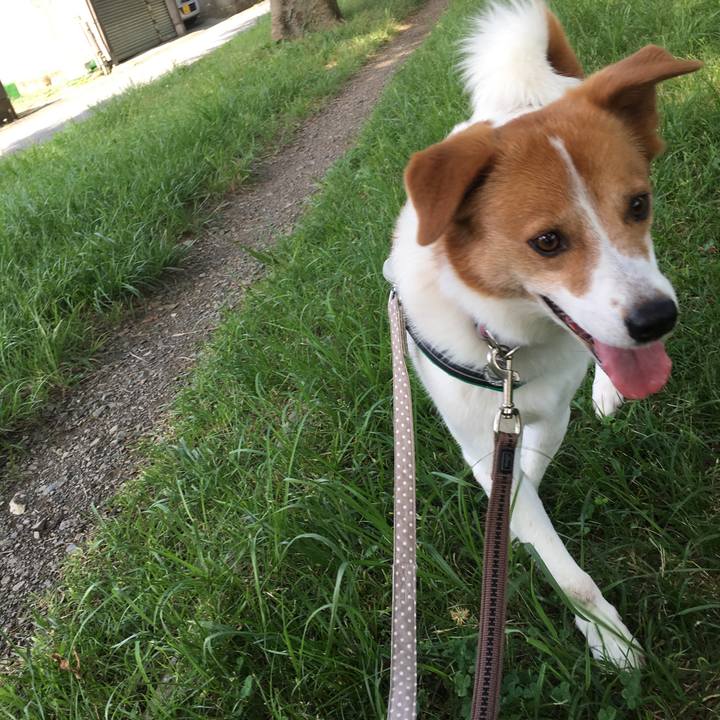 F28c043b de55 40a7 9176 32cdb8741cea