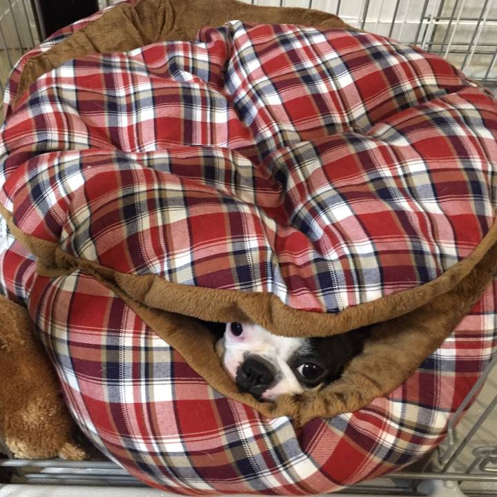 F28c1696 4875 48ff 8d13 07f0ac419da5