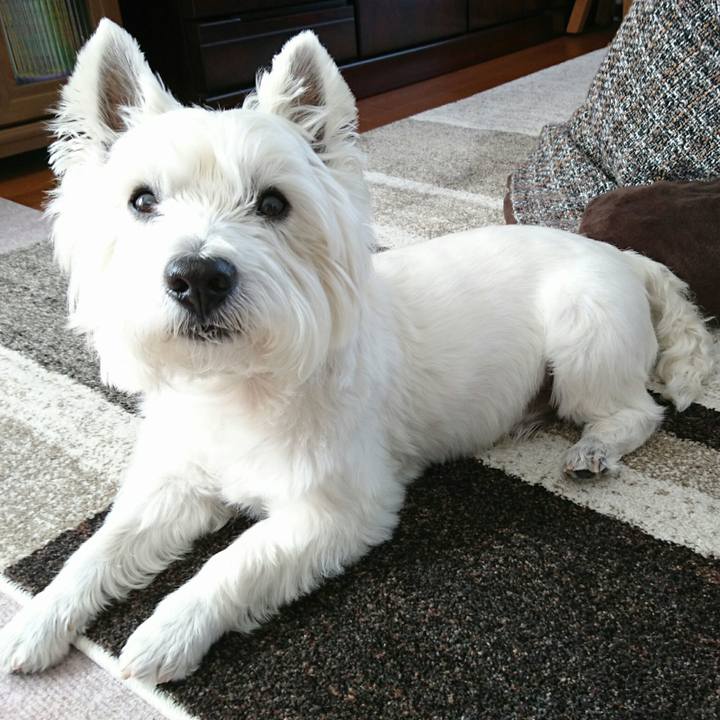 F28c3bd4 df10 4575 b483 6b422535350a