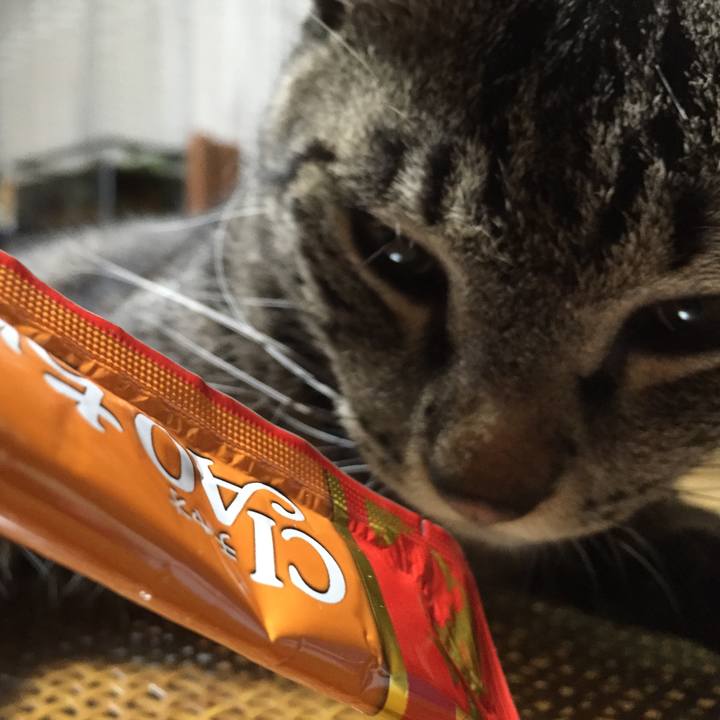 F28c8026 8e95 4b1c 9996 198a1cce21b0