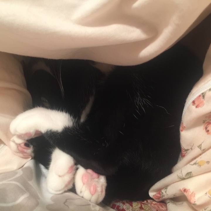 F28d3c88 3624 43f7 89bb 8642edc2fb00