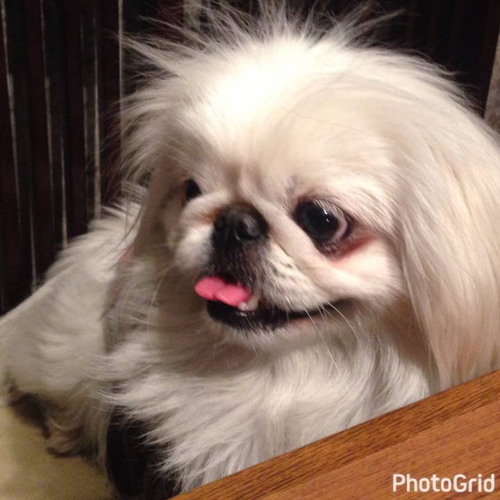 F28e3792 a9b9 4859 9750 d8af0ad05146