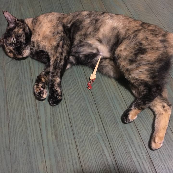 F28eddc5 7f05 4e39 9d67 7203ba0d8d54