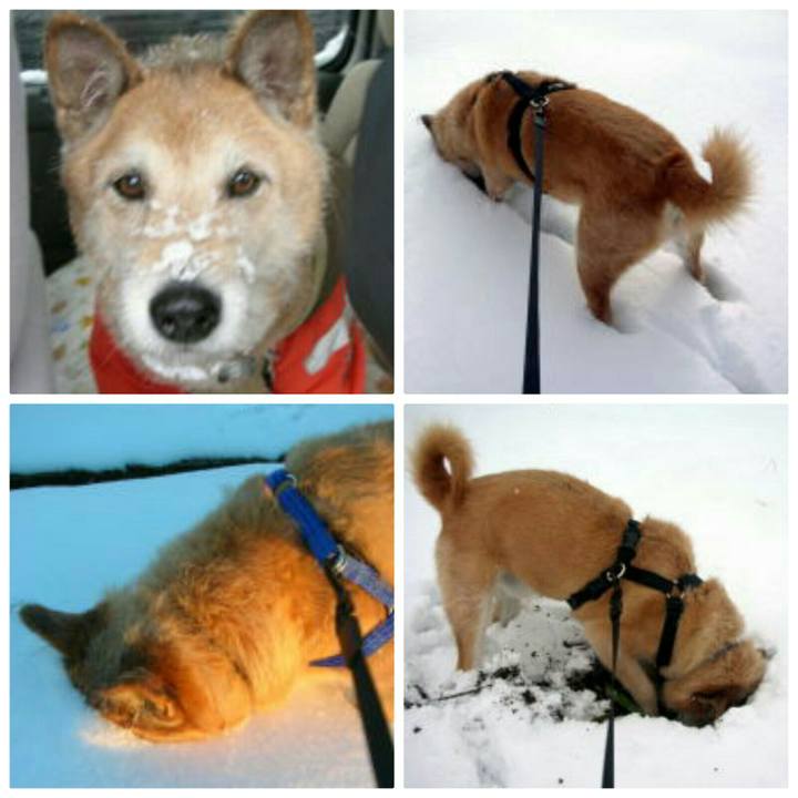 F28fb38f 5c82 4c7e a0ce faa959a34ad2