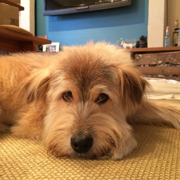 F290531e 6e03 4395 9fa2 54545631bfd6