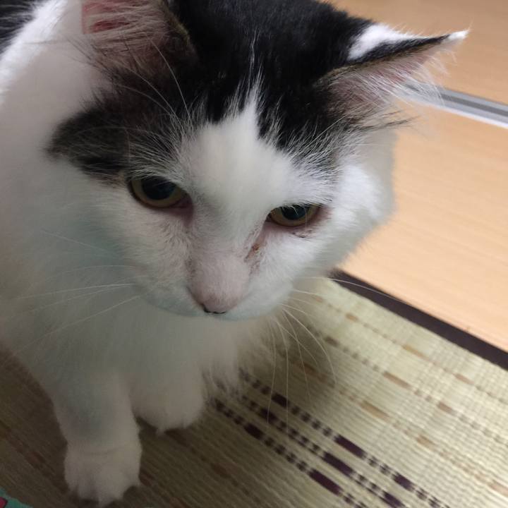 F29066a8 7e41 4185 88ae 929667fa8f94