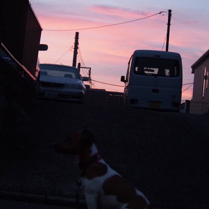 F29108a0 2583 4871 8b0a 920beab326b8