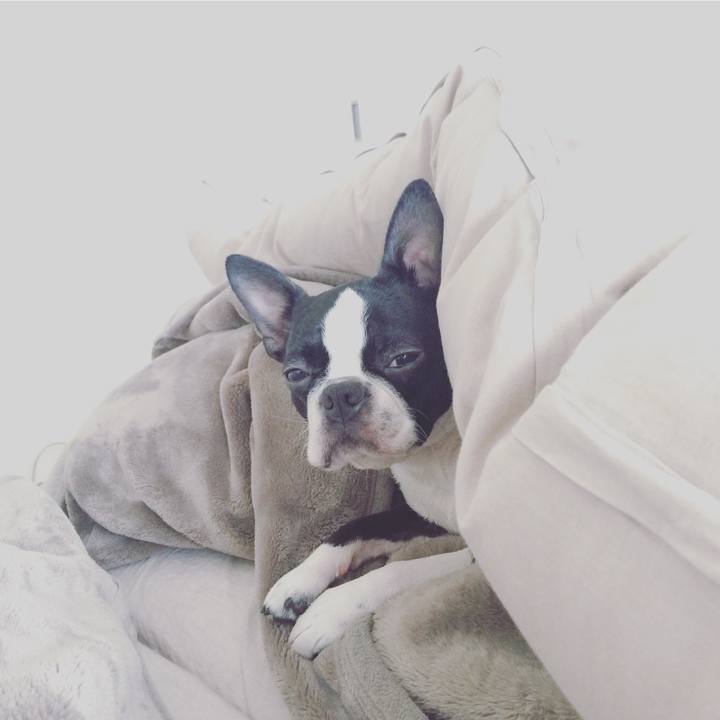 F29118be 1c55 456f 986c 529db36890a9