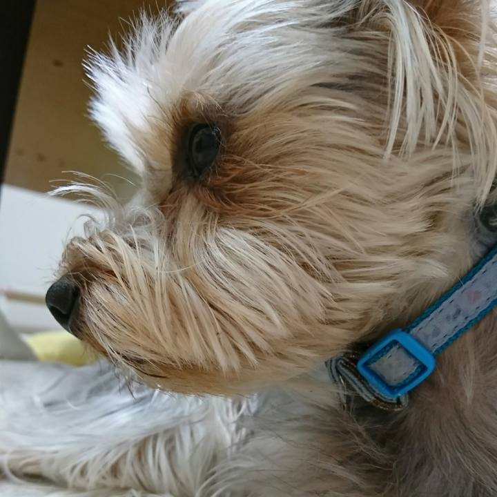 F2911b7c 0d86 4d21 8f5e c452856d4345