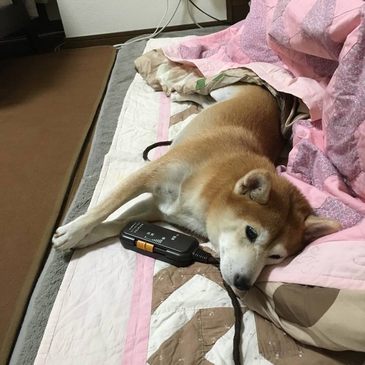 F2912090 dc36 4563 ab58 35d1554b3f1a